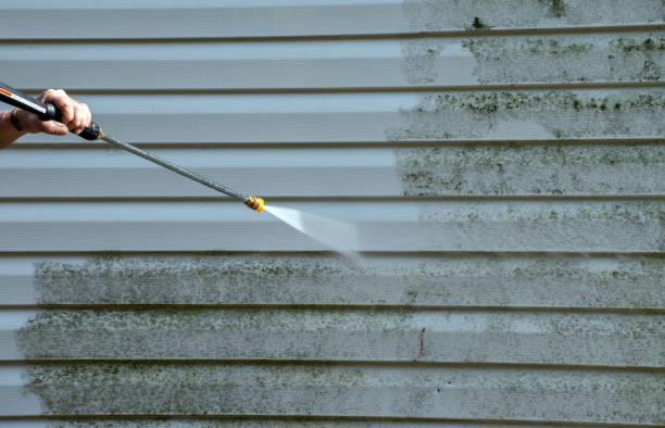 Best Residential Mold Removal  in Booker, TX